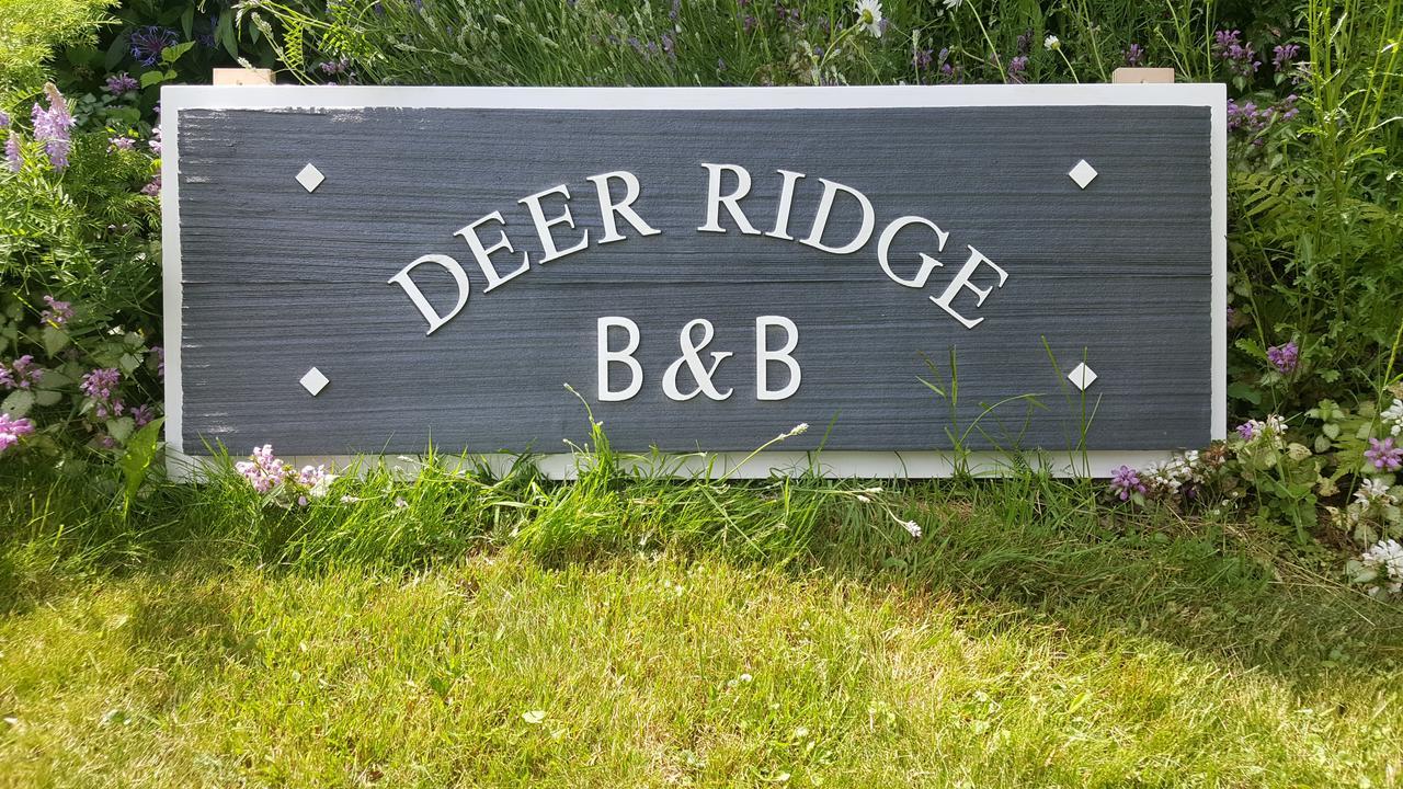 גולדן Deer Ridge B&B מראה חיצוני תמונה